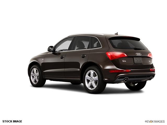 Audi Q5 2011 photo 2