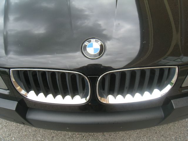 BMW X3 2004 photo 10