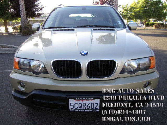 BMW X5 2003 photo 1