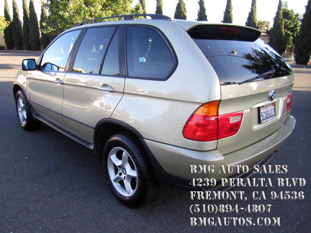 BMW X5 2003 photo 20