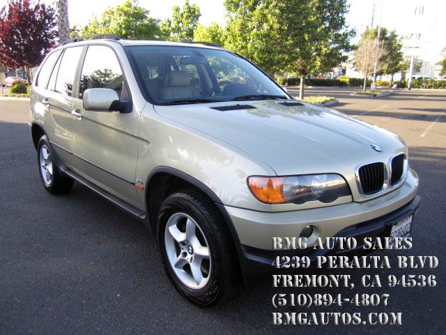 BMW X5 2003 photo 21