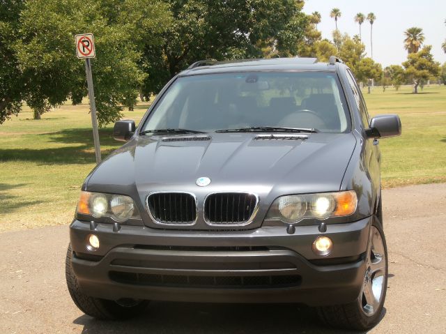 BMW X5 2003 photo 1