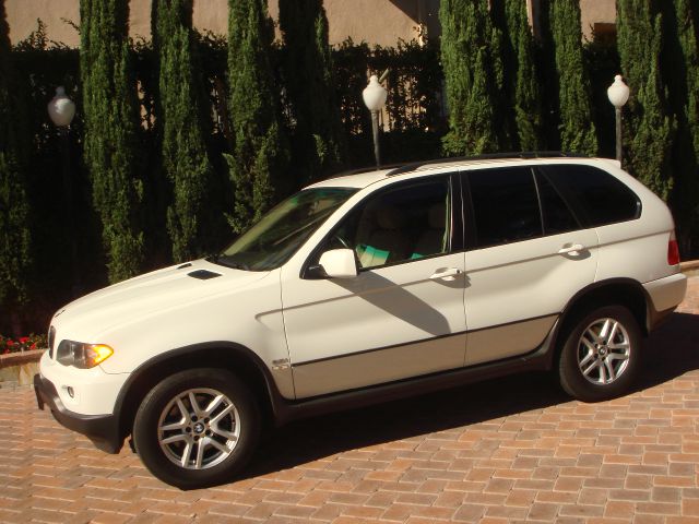 BMW X5 2004 photo 1