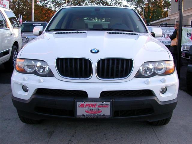 BMW X5 2004 photo 1