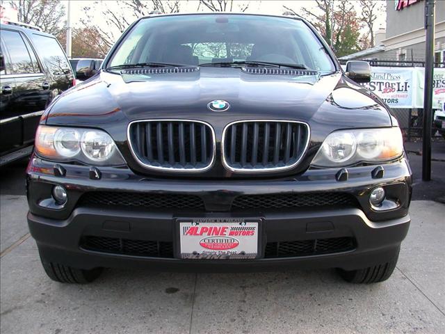 BMW X5 2004 photo 1