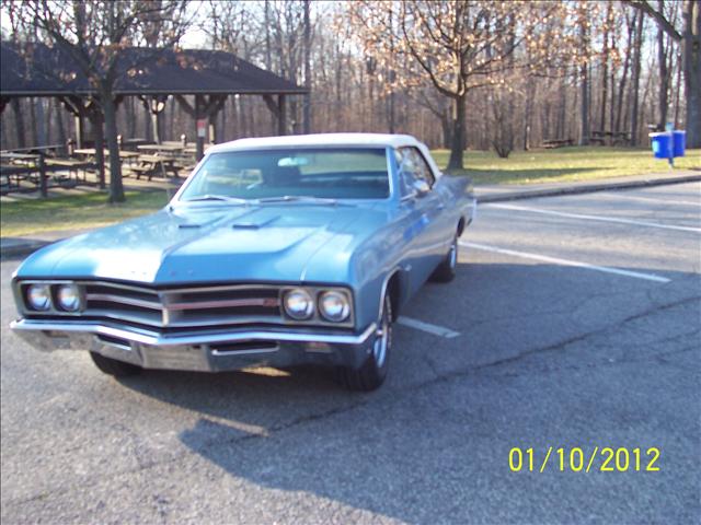 Buick Skylark 1967 photo 1