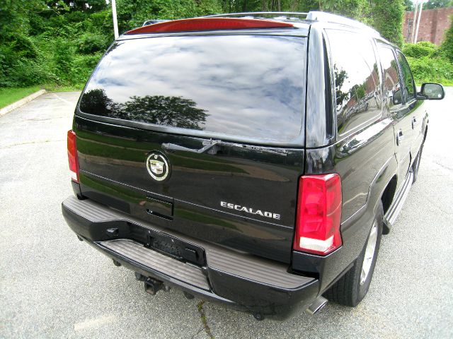 Cadillac Escalade 2002 photo 11