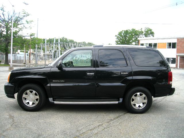 Cadillac Escalade 2002 photo 18