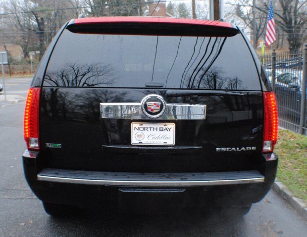 Cadillac Escalade 2010 photo 4