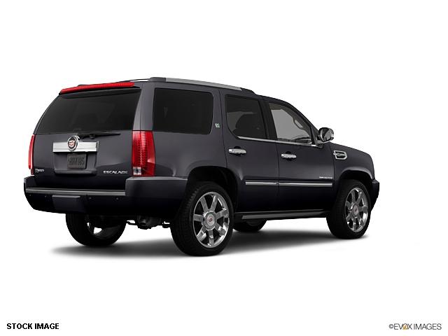 Cadillac Escalade 2011 photo 1