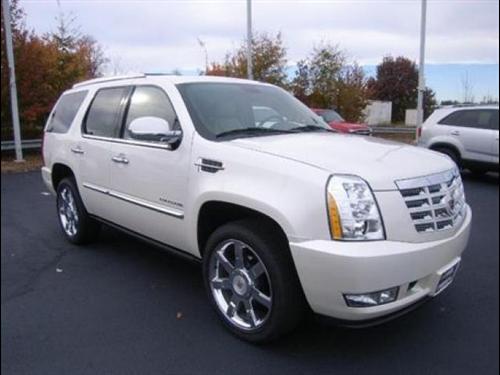 Cadillac Escalade Premium Other