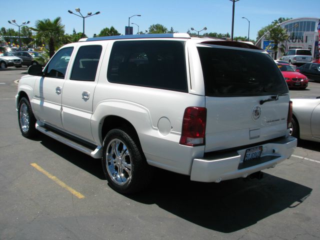 Cadillac Escalade ESV 2003 photo 19