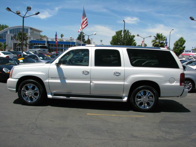 Cadillac Escalade ESV 2003 photo 20