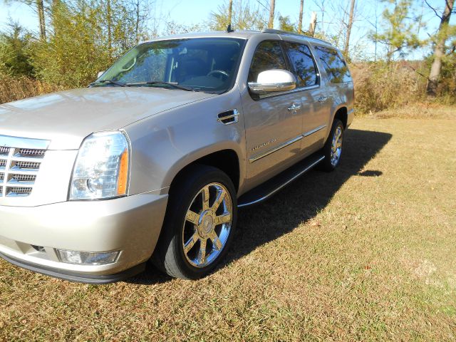 Cadillac Escalade ESV 2008 photo 4