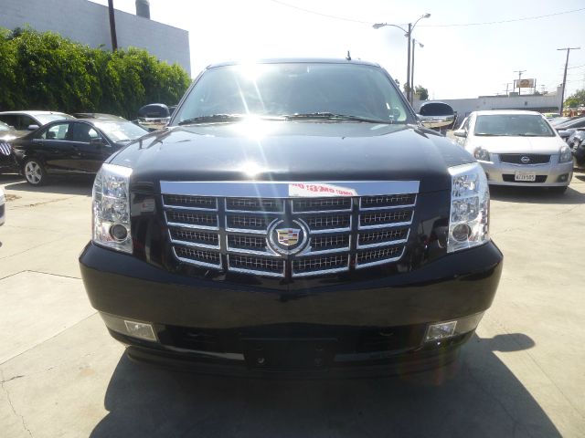 Cadillac Escalade ESV 2009 photo 3