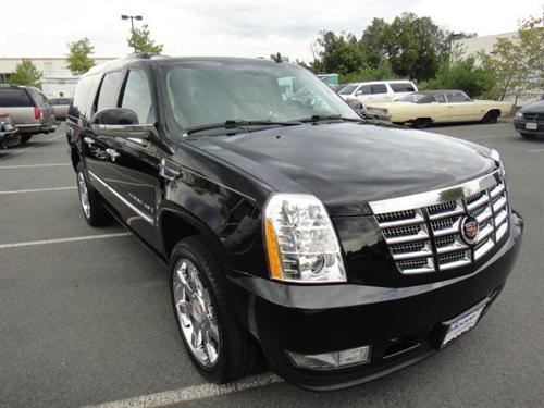 Cadillac Escalade ESV 2009 photo 1