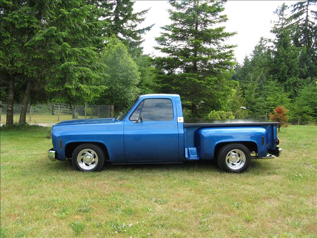 Chevrolet C10 1974 photo 1