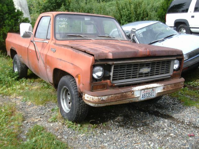 Chevrolet C10 1976 photo 1