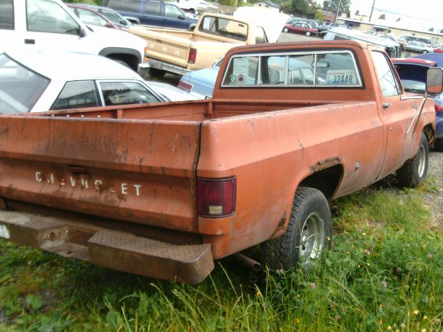 Chevrolet C10 1976 photo 4