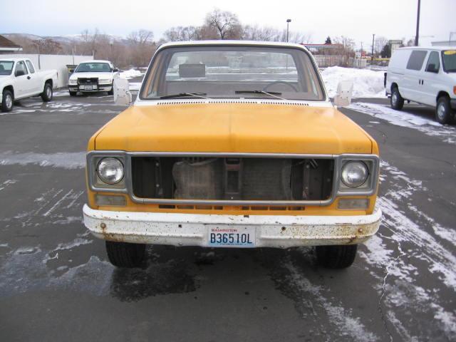 Chevrolet C1500 1978 photo 3