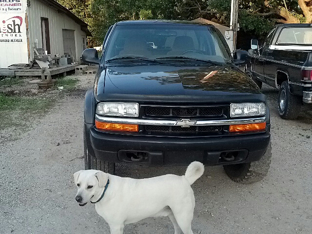 Chevrolet S10 Pickup 1998 photo 9