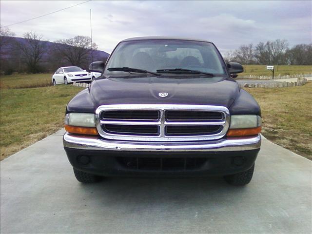 Dodge Dakota 1998 photo 2