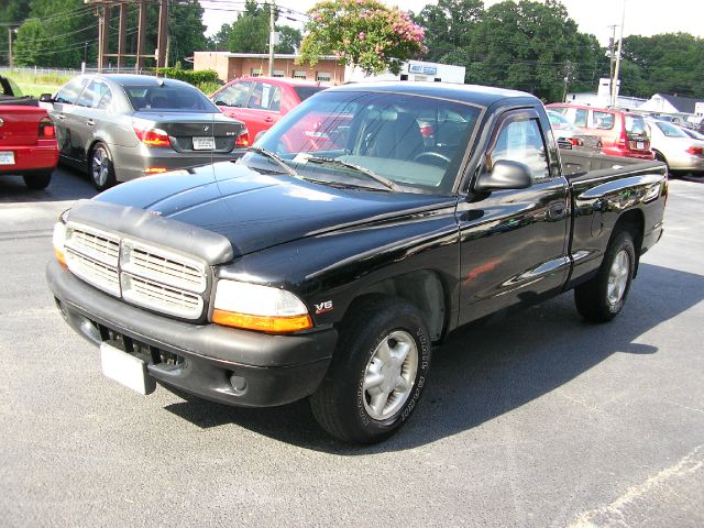 Dodge Dakota 1999 photo 3