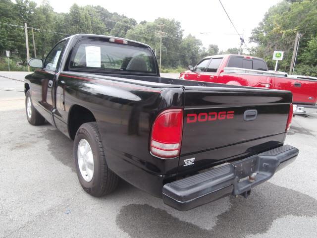 Dodge Dakota 1999 photo 4