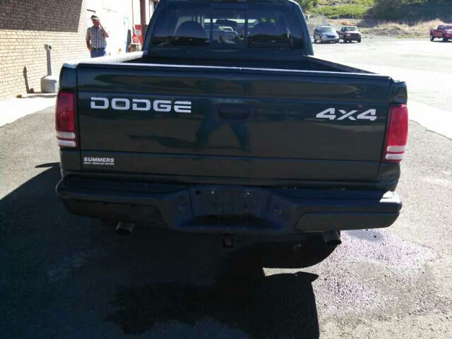 Dodge Dakota 1999 photo 3