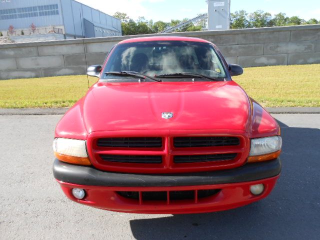 Dodge Dakota 2000 photo 15