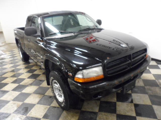 Dodge Dakota 2000 photo 1