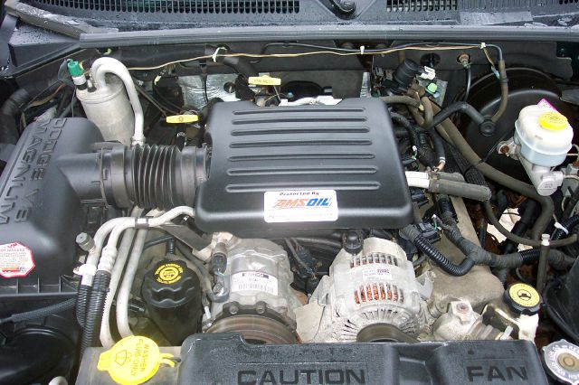 Dodge Dakota 2000 photo 2