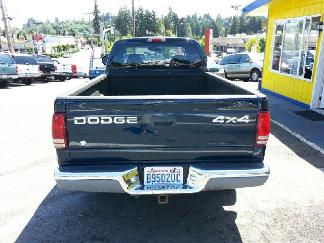 Dodge Dakota 2000 photo 6