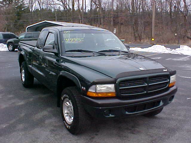 Dodge Dakota 2000 photo 4