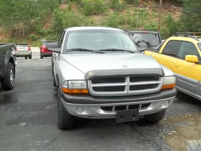 Dodge Dakota 2001 photo 3