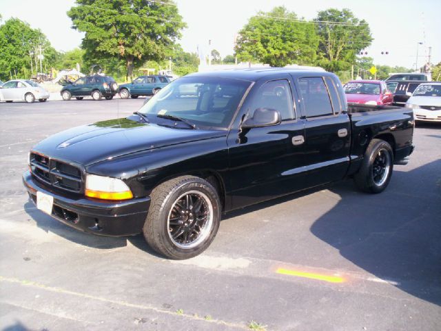 Dodge Dakota 2001 photo 8