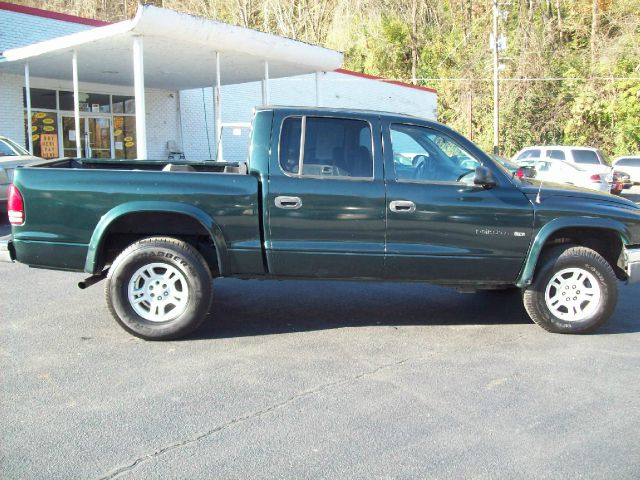 Dodge Dakota 2001 photo 30