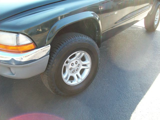 Dodge Dakota 2001 photo 9