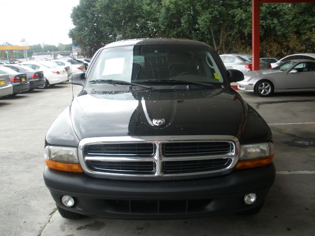 Dodge Dakota 2001 photo 8