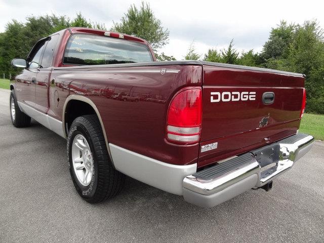 Dodge Dakota 2001 photo 1