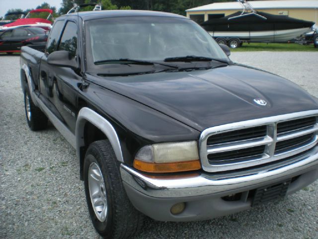 Dodge Dakota 2001 photo 1