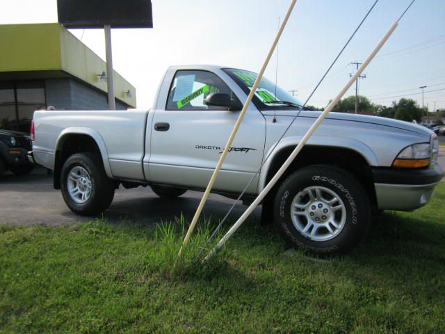 Dodge Dakota 2001 photo 10