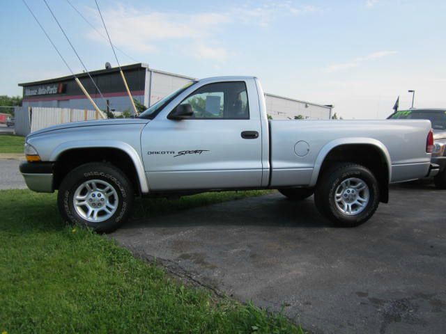 Dodge Dakota 2001 photo 13