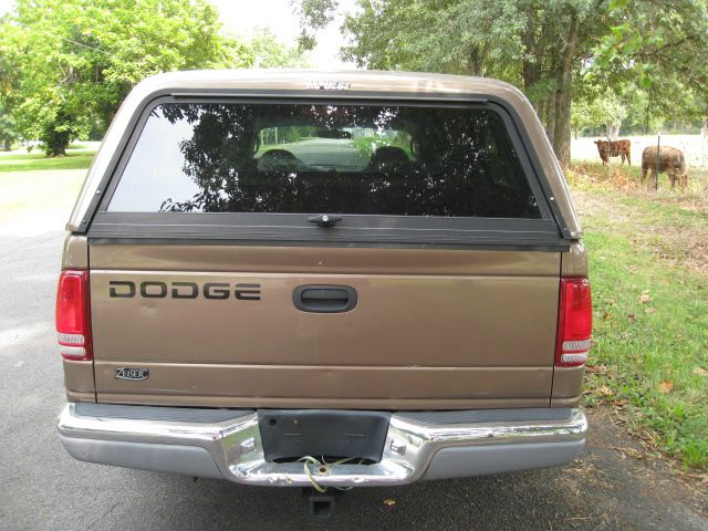 Dodge Dakota 2001 photo 3