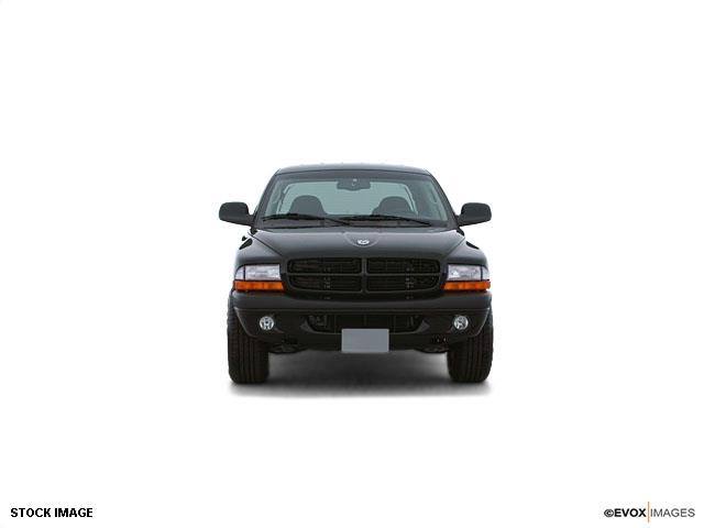 Dodge Dakota 2001 photo 4