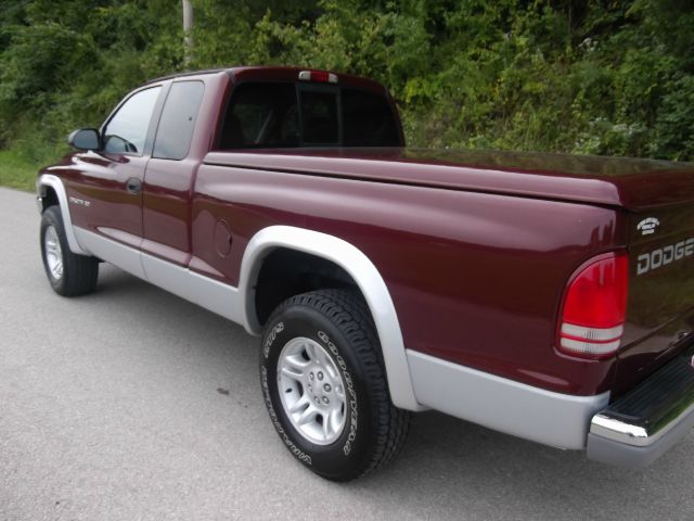 Dodge Dakota 2001 photo 1