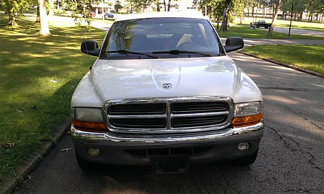 Dodge Dakota 2001 photo 3