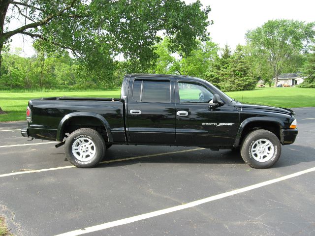 Dodge Dakota 2001 photo 11