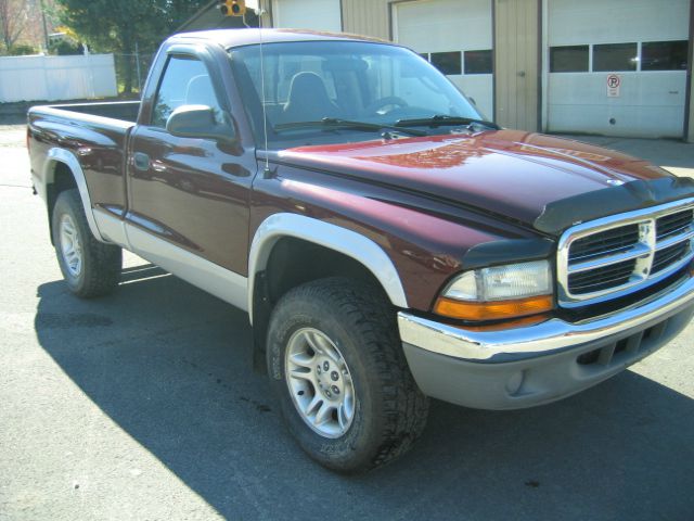 Dodge Dakota 2001 photo 3