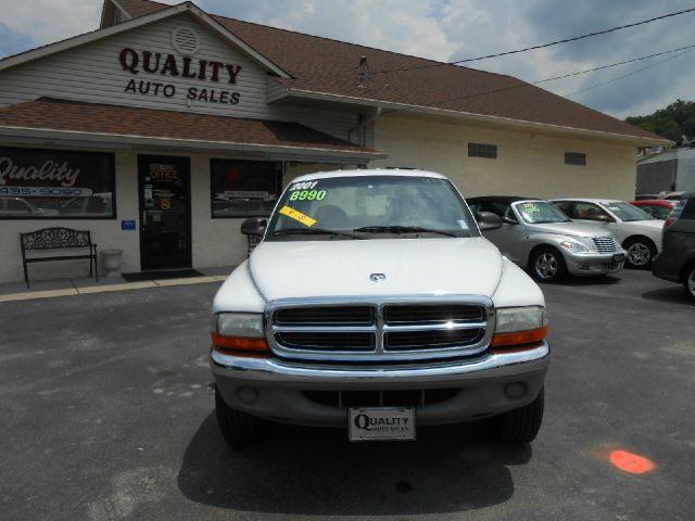 Dodge Dakota 2001 photo 4